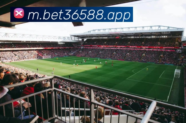 bet365中国官网服务体系